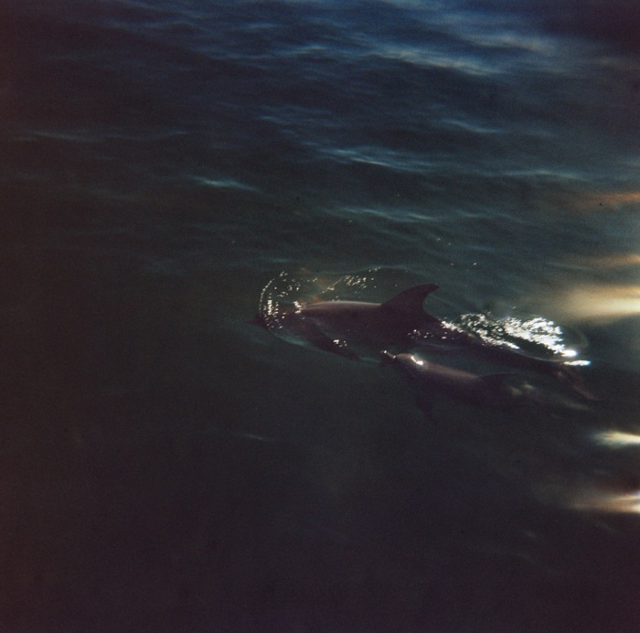 lomo-6