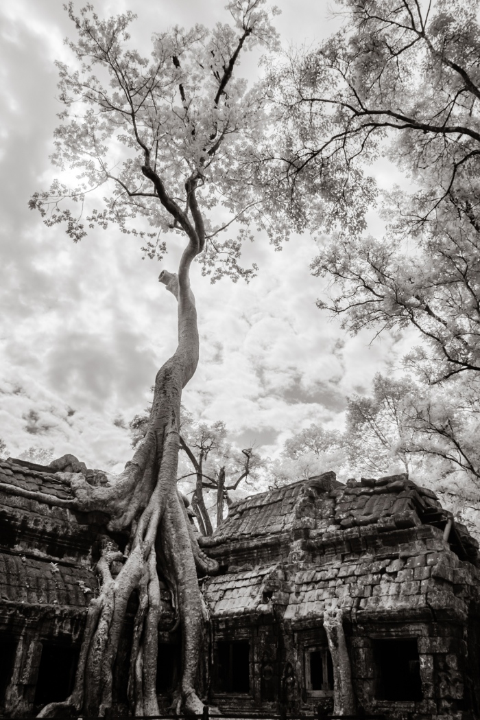 infrared_cambodia-3